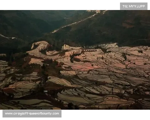 环云南直播覆盖230个国家，外媒赞赛道展示中国多元地貌