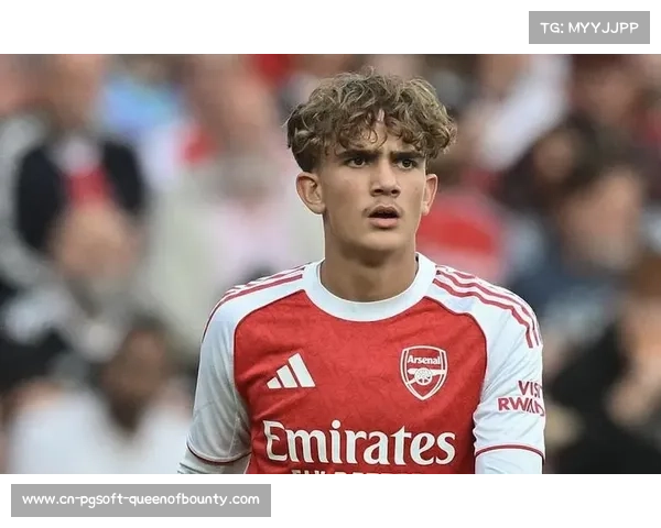 道曼脚踝受伤缺阵,阿森纳青年卫将一月复出 道曼脚踝受伤缺阵,阿森纳青年卫将一月复出